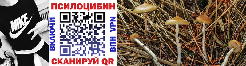Псилоцибиновые грибы прущие грибы  Богучар 